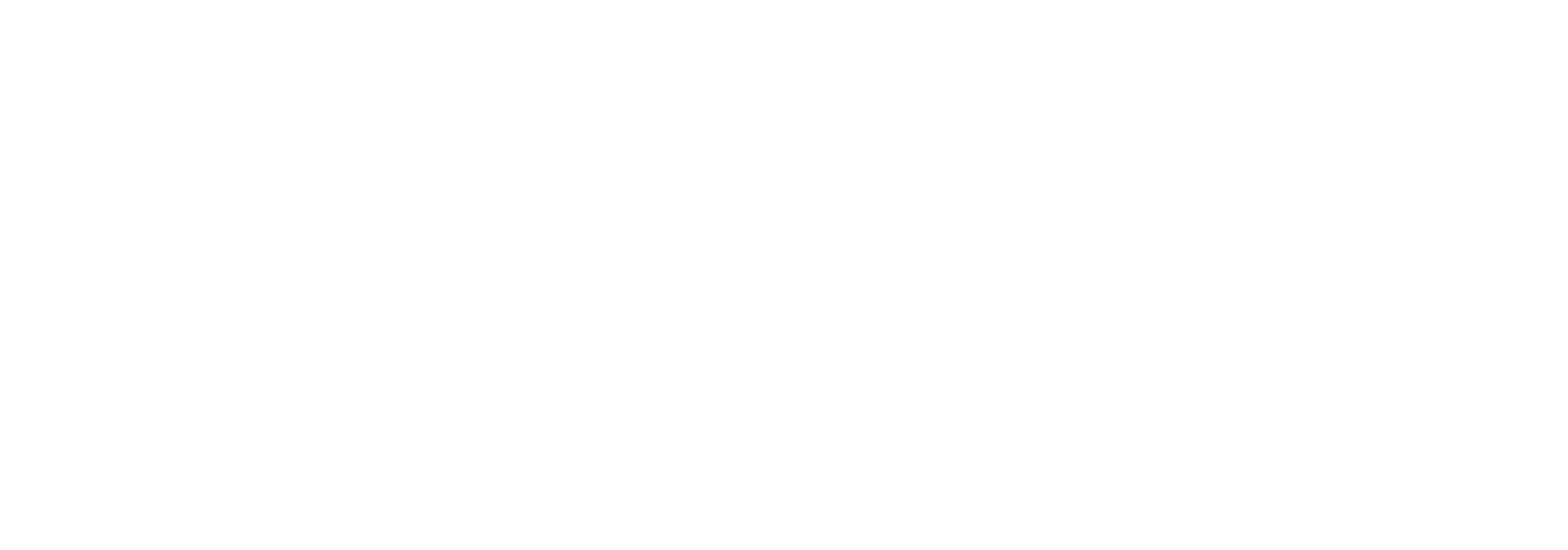 NEF Nueva Economía Fórum